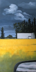 Side View Mirror and Canola